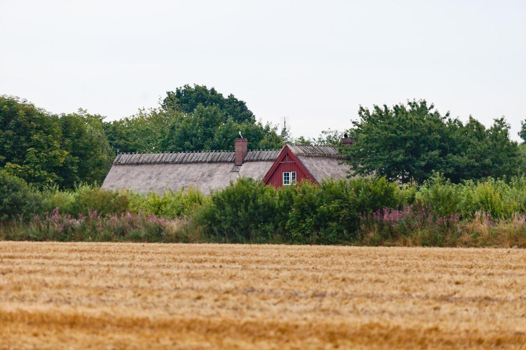 Kastanjegarden Pa Stenshuvud Kivik Exterior foto